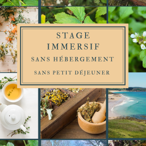 Stage 4 jours sans hébergement