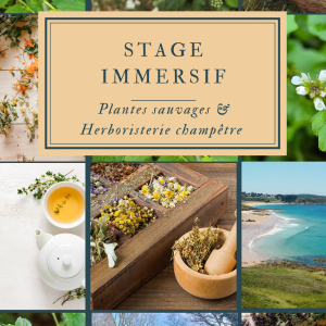 Stage immersion plantes sauvages